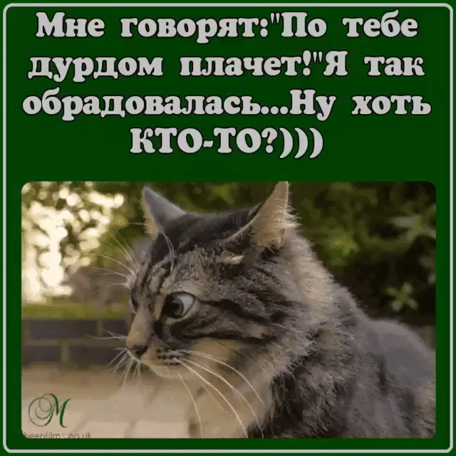 Мне говорятПо тебе дурдом плачет так обрадоваласьНу хоть КТО ТСИ