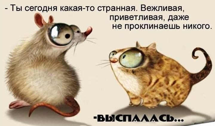 Ты сегодня какая то странная Вежливая приветливая даже не проклинаешь никого
