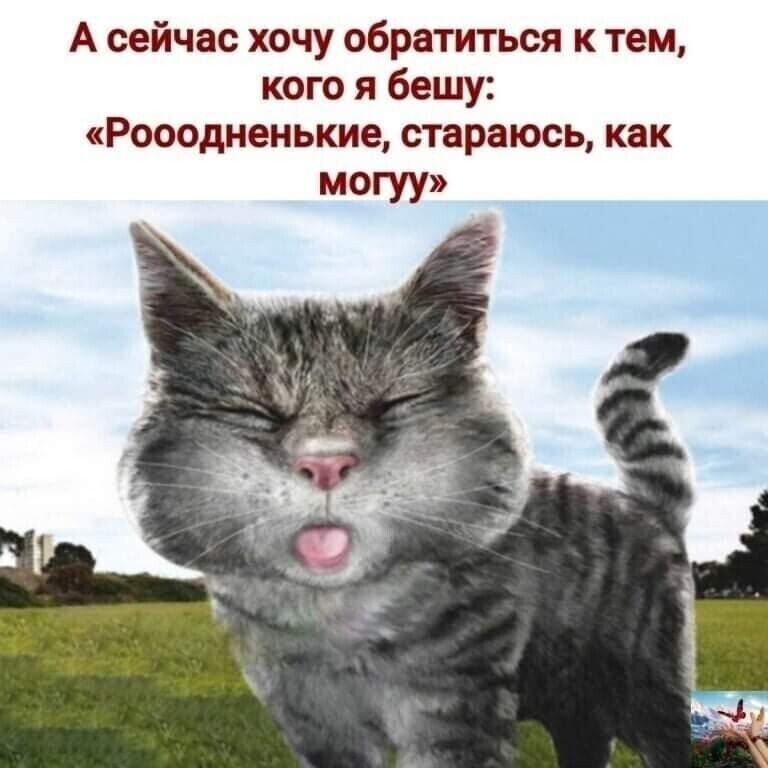 А сейчас хочу обратиться к тем кого я бешу Рооодненькие стараюсь как могуу