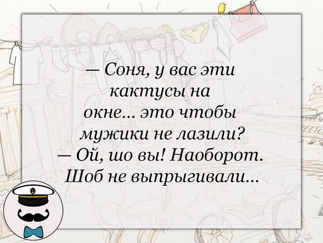 _ Соня у вас эти кактусы на і окне это чтобы мужики не лавыш Ой шо вы Наоборот Шоб не выпрыгивали тбэ