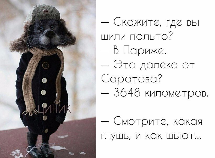 Скажите где вы шипи ПОПЬТО В Париже ЭТО допеко от Соротово 5648 китометров Смотрие кокоя гпушь и кок шьют