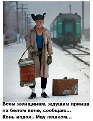 _ Всем женщ иви ждущим принца на белом коне сообщаю Конь вздох Иду пешком