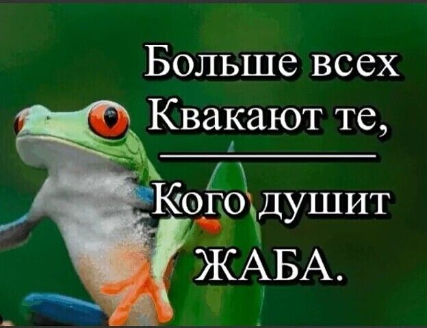 Больше всех Квакают те