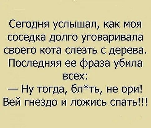 Сегодня услышал как моя соседка долго уговаривала своего кота слезть с дерева Последняя ее фраза убила всех Ну тогда блть не ори Вей гнездо и ложись спать