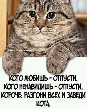ставишь отпусти кого НЕНАВИДИШЬ отчсги коючв гдзгони всех и здввди ком