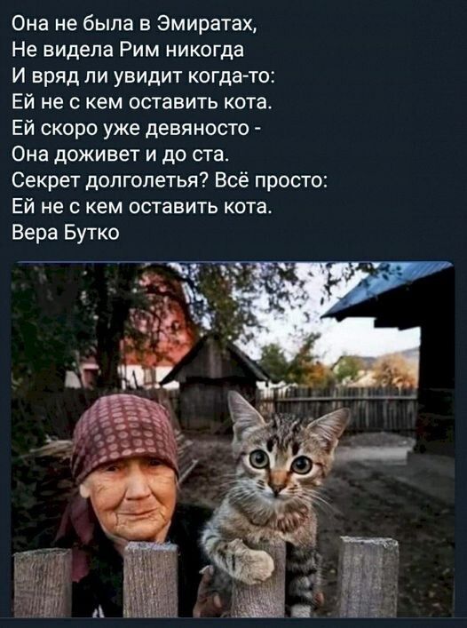 Она не была в Эмиратах Не видела Рим никогда И вряд ли увидит когдато Ей не с кем оставить кота Ей скоро уже девяносто Она доживет и до ста Секрет допголетья Всё просто Ей не с кем оставить кота Вера Бутко
