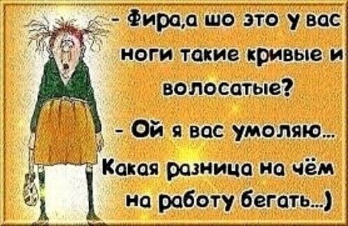 Фирад шо это у вас ноги такие кривые и волосатые Ой я вас умоляю Какая разница на чём на работу бегать