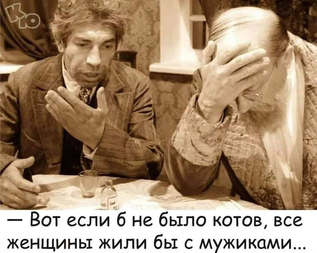 ЦИ Вот еслй 16 не было котов все женщины жили бы с м жиками
