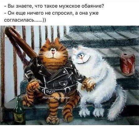 Вы еете что такое мужское обаяние _ Он еще ничего не спросил а она уже согласилась