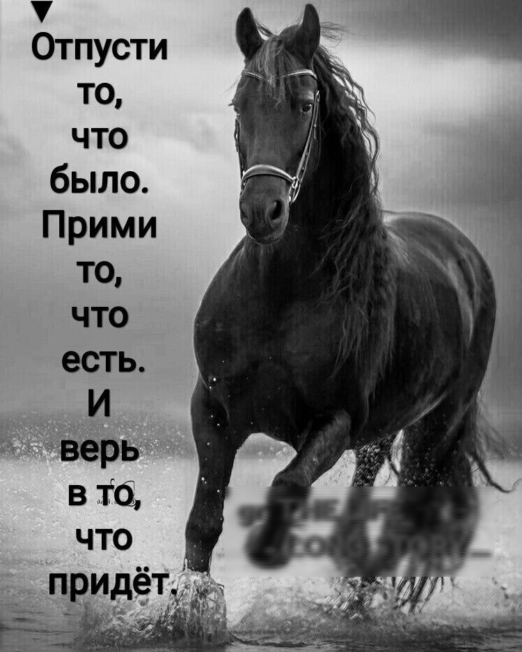 У Отпусти тц что было Прими пм что еспЪ