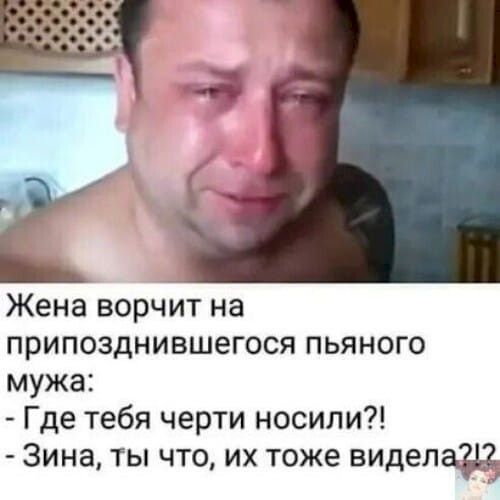 Жена ворчит на припозднившегося пьяного мужа Где тебя черти носили Зина ты что их тоже виделащ