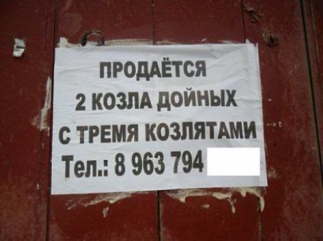продАЁтся козпА дойных С ТРЕМЯ КОЗПЯТЩИ Тел 8 963 794
