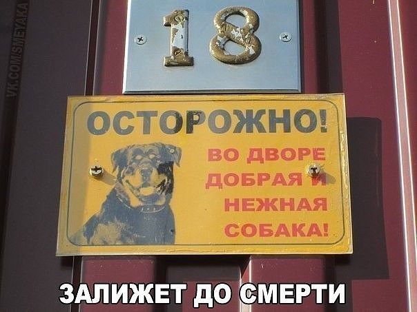 м 1 змижвт до мнрти