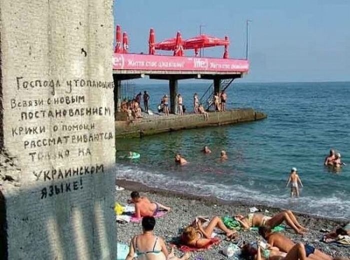 И о панк ци рдимшд Тк в