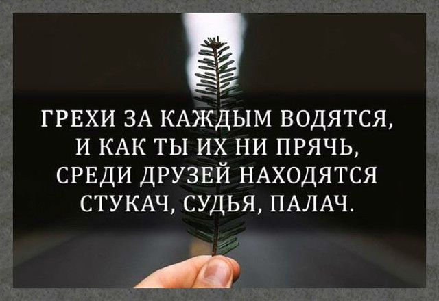 грвхи ЗА КАЖДЫМ водятся и КАК ты их ни прячь СРЕДИ друзвй НАХОДЯТСЯ СТУКАЧ судья ПАЛАЧ