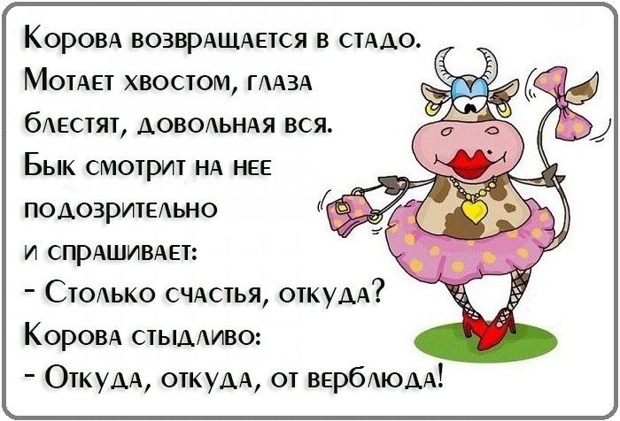 КОРОВА ВОЗВРАЩАЕТСЯ В СТАДО МОТАЕТ ХВОСТОМ ГААЗА бАЕСТЯТ АОВОАЬНАЯ ВСЯ БЫК СМОТРИТ НА НЕЕ ПОДОЗРИТЕАЬНО и СПРАШИВАЕТ Столько счдстья откудд Коровд стыдливо Откудд откудд от вербАЮАА