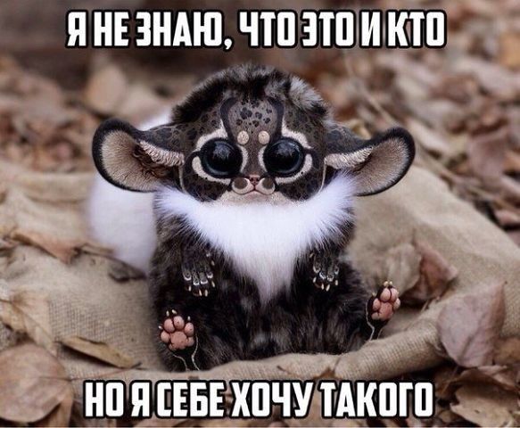 пнпндшлтішшют