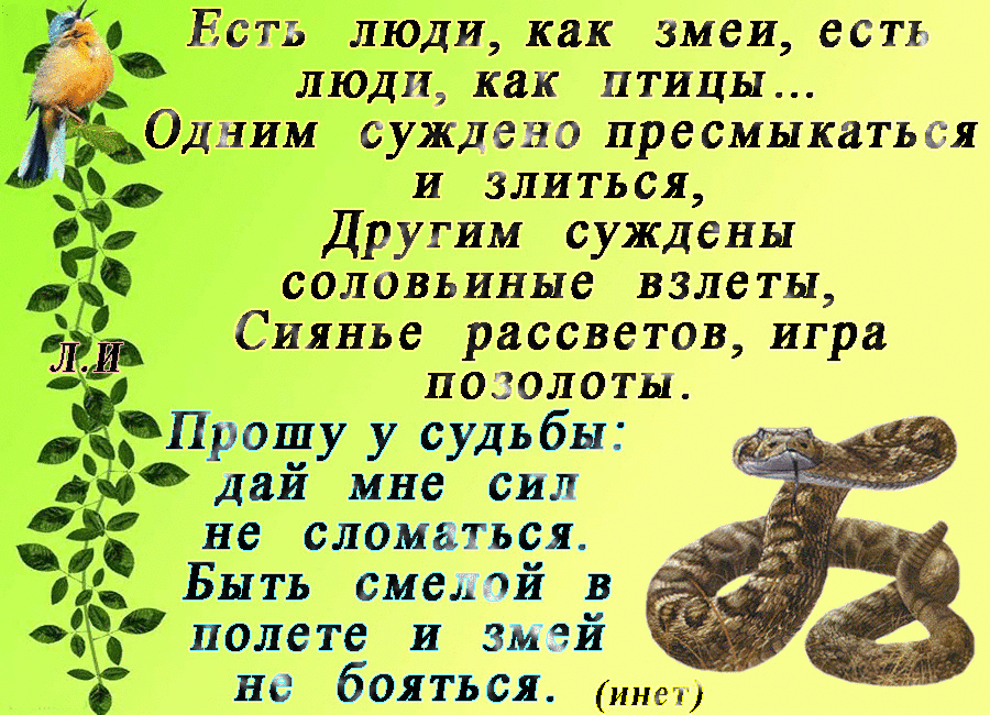 Есть люди как змеи есть люди как птицы Одним суждено пресмыкаться и злиться Другим суждены соловьиные взлеты Сиянье рассветов игра позолоты Прошу у судьбы дай мне сил не сломаться Быть смелсй в полете и змей не бояться ин