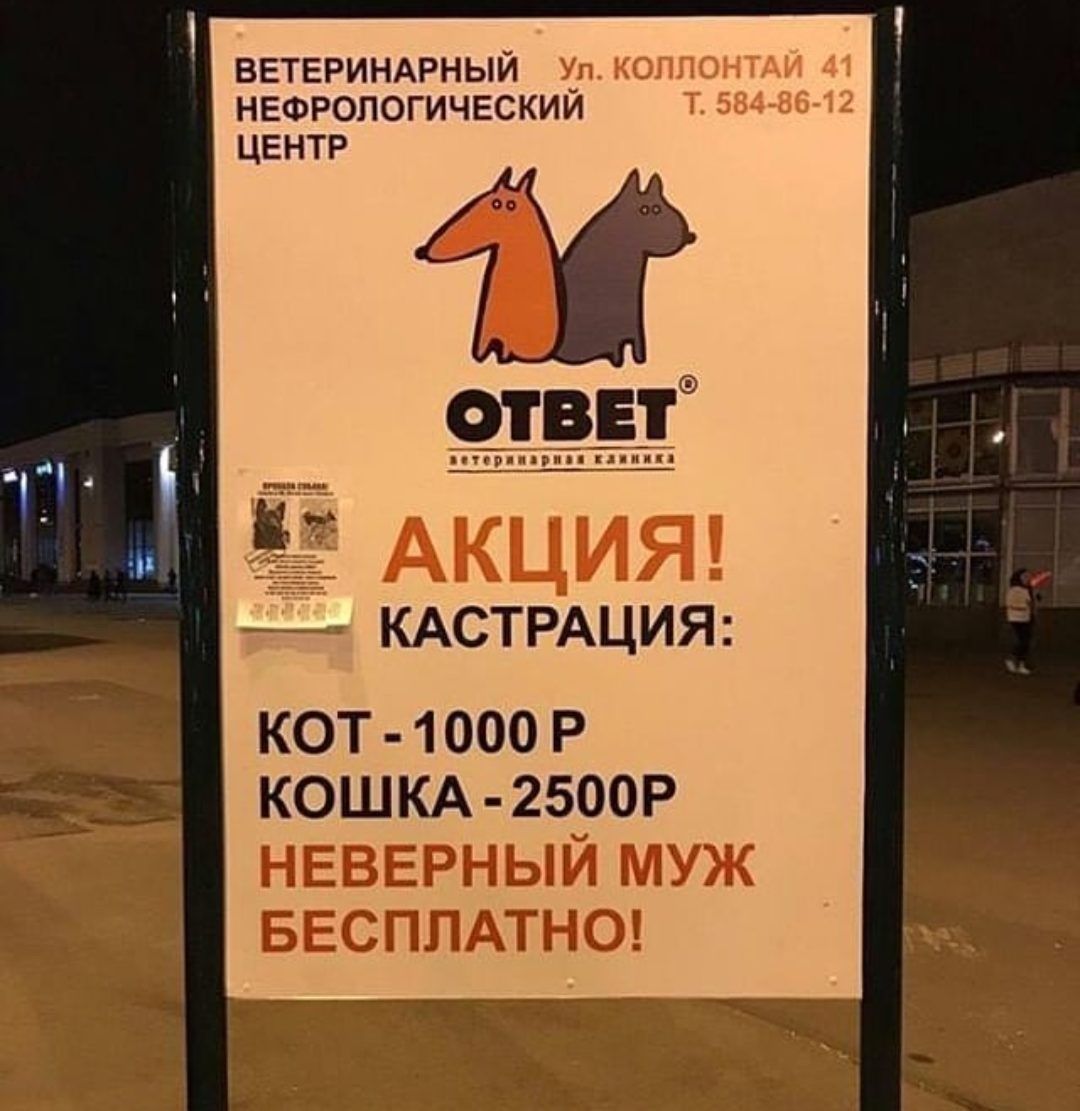 ВЕТЕРИНАРНЫЙ Х коппон 37101 НЕФРОПОГИЧЕСКИИ Т 554 5 3 11 _АКЦИЯ КАСТРАЦИЯ кот 1000 Р КОШКА 2500Р нввврный муж БЕСПЛАТНО