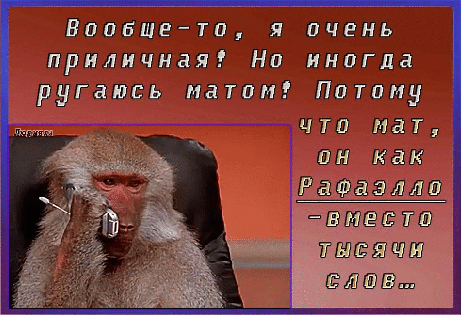Вообщето я очень приличная На иногда ругаюсь матан Патаму чта мат ШЭШШШП