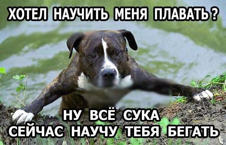 ЁЁКШЗП НАУЧИТЬ ШШШ плдвдтьд