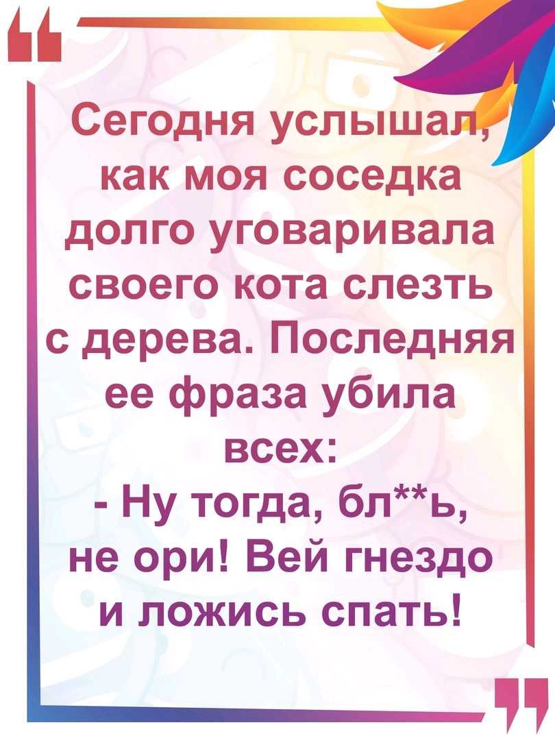 Сегодня услыша как моя соседка долго уговаривала своего кота слезть с дерева Последняя ее фраза убила всех Ну тогда бль не ори Вей гнездо и ложись спать