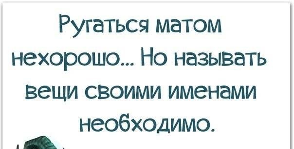 Ругаться матом нехорошо Но называть вещи своими именами необходимо