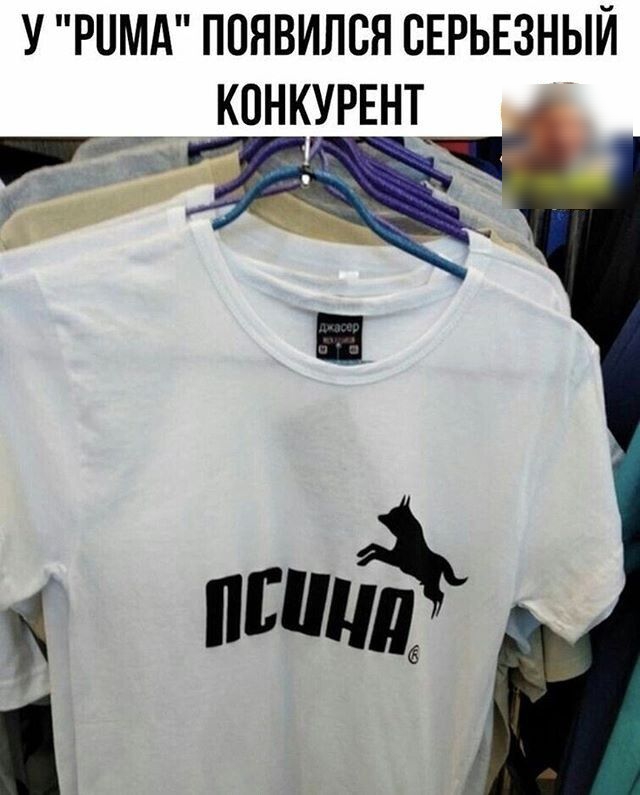 У РИМА ППЯВИЛСН СЕРЬЕЗНЫЙ КПНКУРЕНТ Ёж птиц