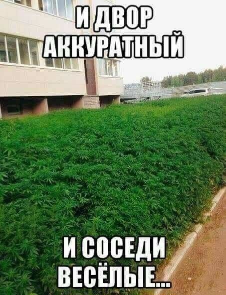 и сцсвдиі вюъпыъгд _