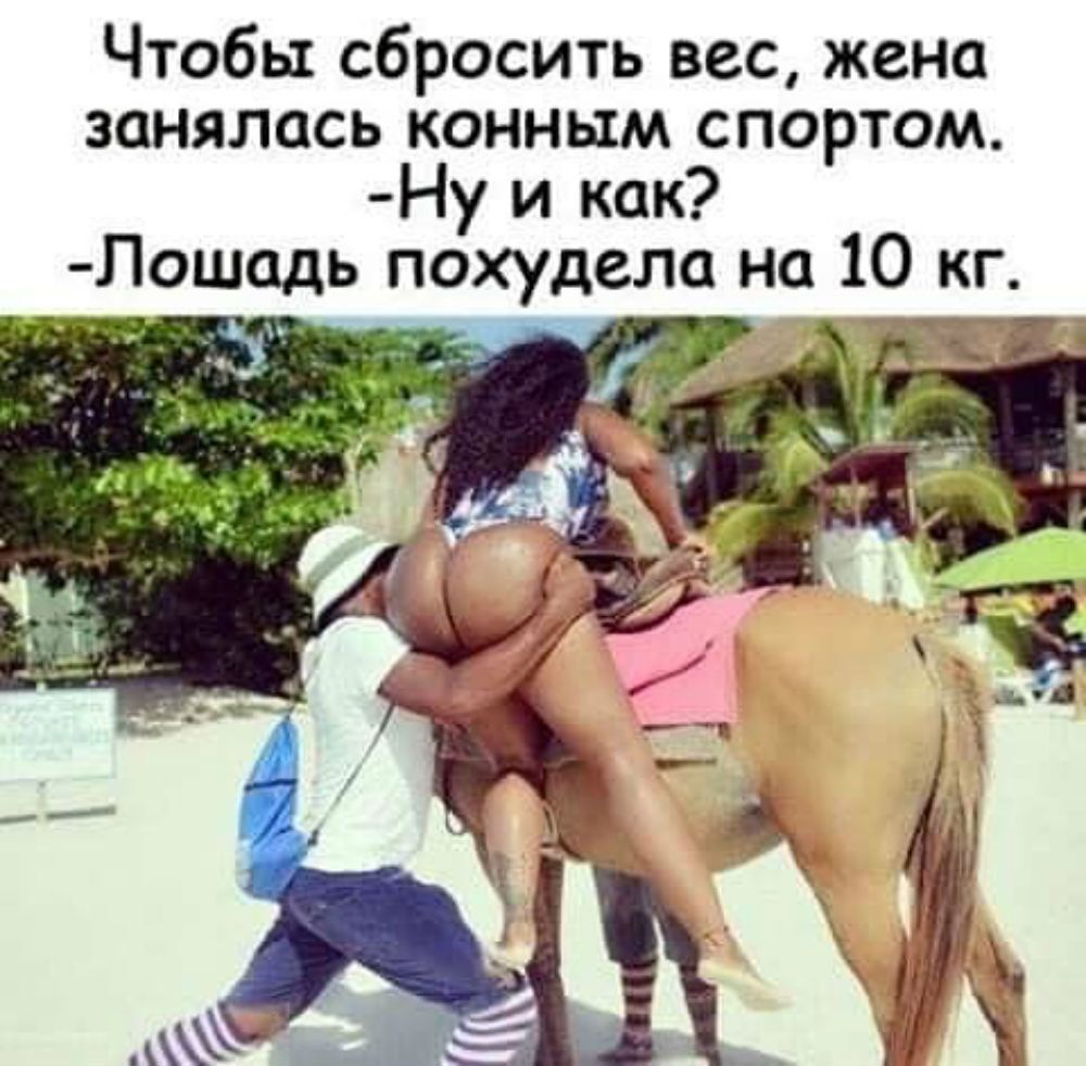 Чтобы сбросить вес жена занялась конным спортом Ну и как Лошадь похудела на 10 кг _ ъ ч _ 4_ _ _ к у _