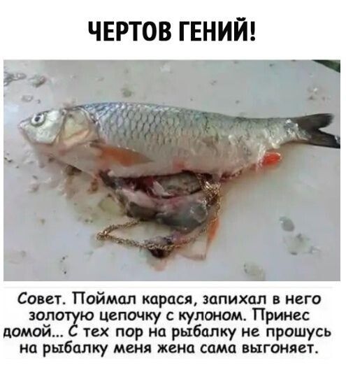 ЧЕРТОВ ГЕНИЙ Совет Поймал карася шпихал в него зола ю цепочку с кулоном Принес домой тех пор на рыбалку не прошусь на рыбалку меня жена сама выгоняет