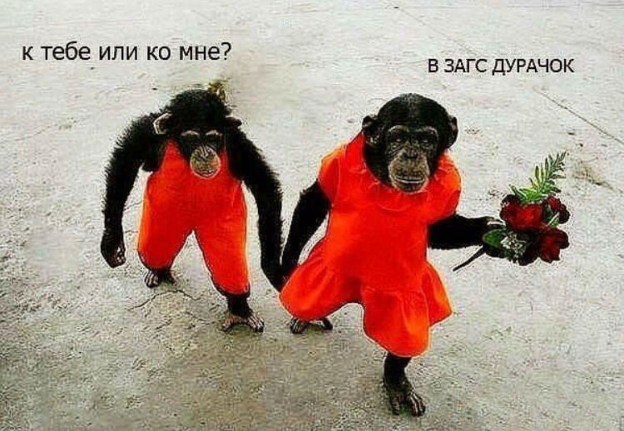 к тебе или ко мне В ЗАГС ДУРАЧОК