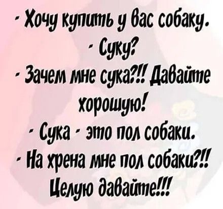 Хочу купшпьу бас собаку буку Зачем сукадабайпе хорошую Сука это под собаки На хрена мне под собаки Целую дабатпед