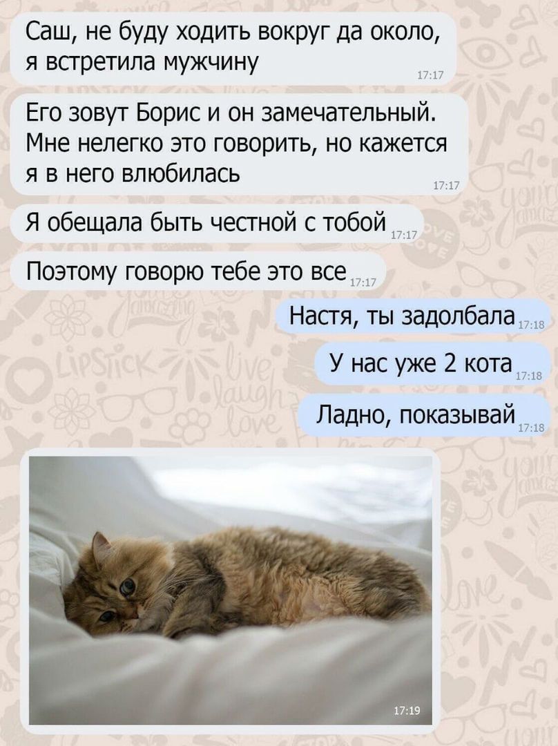 Саш не буду ходить вокруг да около я всгретила мужчину 17 17 Его зовут Борис и он замечательный Мне нелегко это говорить но кажется я в него влюбилась 117 Я обещала быть честной с тобой 1717 Поэтому говорю тебе это все П 17 Настя ты задолбала У нас уже 2 кота 1718 Ладно показывайв
