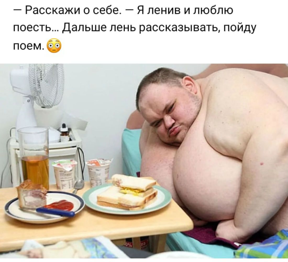 Расскажи о себе Я ленив и люблю поесть Дальше лень рассказывать пойду поем 3 в 4