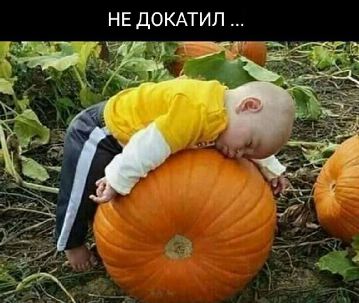 НЕ ДОКАТИЛ