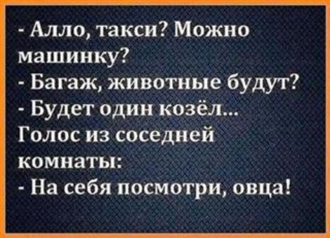 Алло такси Можно машинку Багаж животные будут Будет один козёл Голос из соседней комнаты На себя посмотри овца