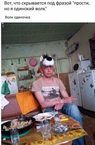 вот что скрывается под Фразой прости но я идинокий волк в Одиночка