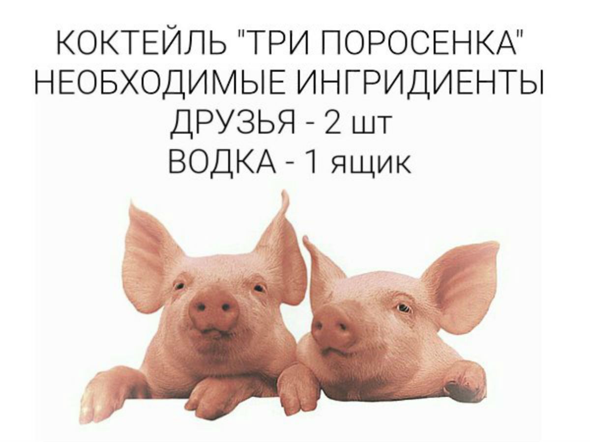 КОКТЕЙЛЬ ТРИ ПОРОСЕНКА НЕОБХОДИМЫЕ ИНГРИДИЕНТЫ ДРУЗЬЯ 2 шт ВОДКА 1 ящик