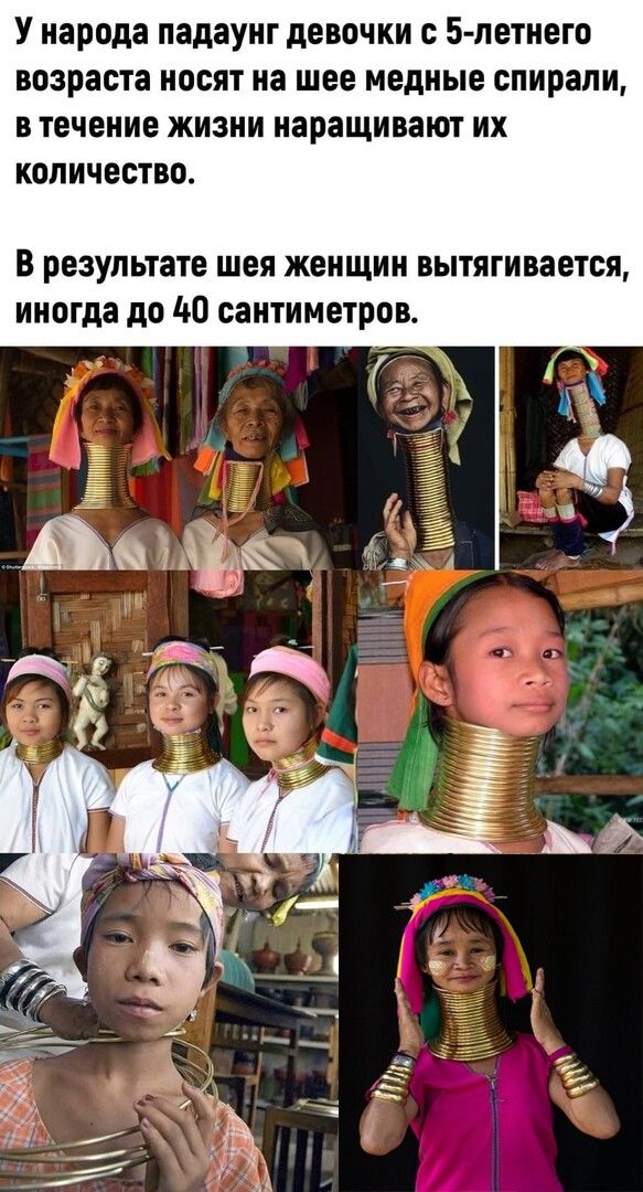 У народа падаунг девочки С 5 петнего возраста носят на шее медные спирали В течение ЖИЗНИ наращивают ИХ КОЛИЮСТВО В результате шея женщин вытягивается иногда до до сантиметров