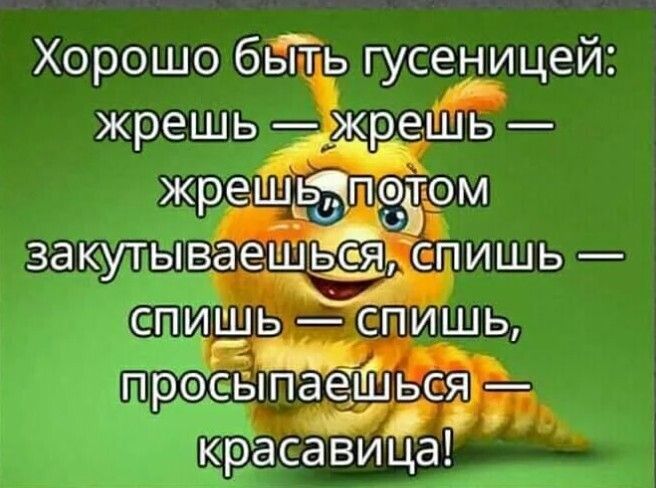 Хорошо бть гусеницей жрешь жрецй