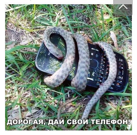 С тф
