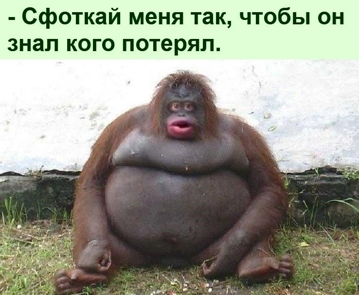 Сфоткай меня так чтобы он знал кого потерял