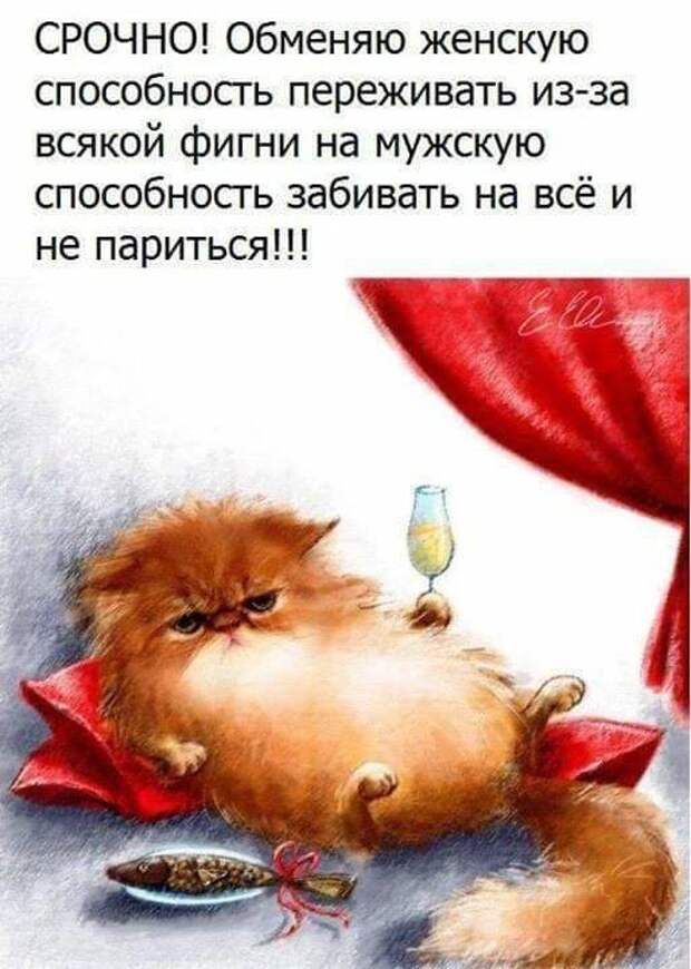 СРОЧНО Обменяю женскую способность переживать из за всякой фигни на мужскую способность забивать на всё и не париться