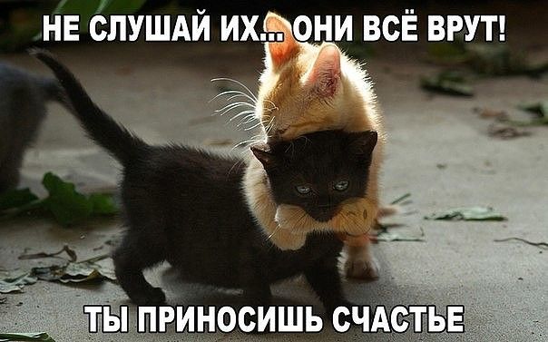 нв слушдй их они всЁ ВРУТ