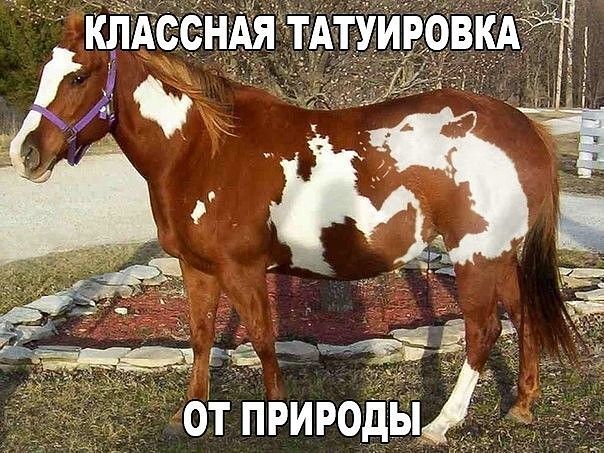 Г. Чва от природы,
