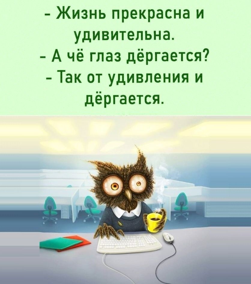 Бабам вредно смотреть фильмы о любви а мужикам порно И те и другие начинают  думать что такое возможно в жизни - выпуск №1001544