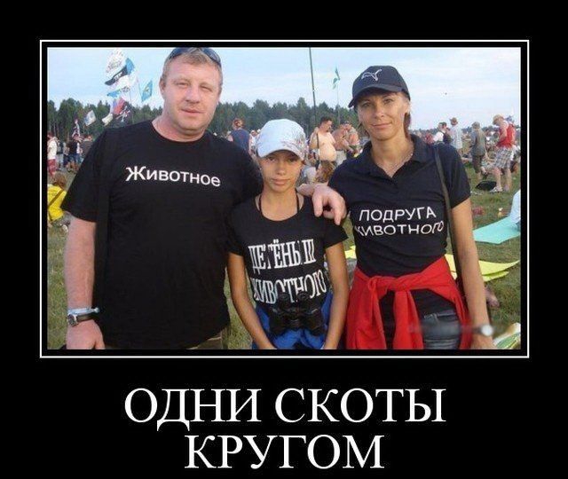 ОДНИ скоты КРУГОМ