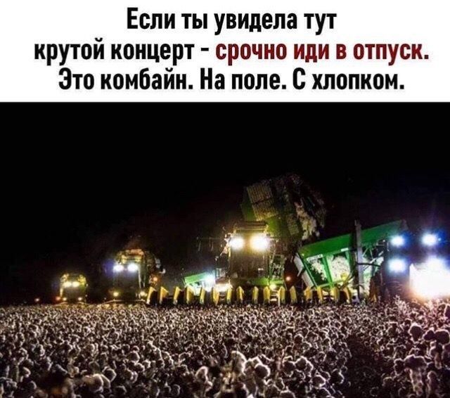 Если ты увидела тут крутой концерт срочно иди в отпуск Зто комбайн На поле с хлопком