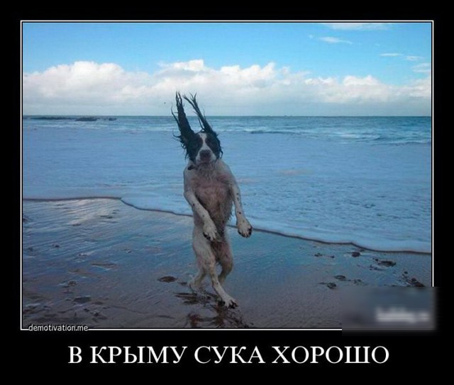 В КРЫМУ СУКА ХОРОШО